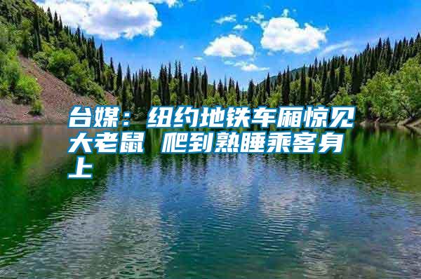 臺(tái)媒：紐約地鐵車廂驚見大老鼠 爬到熟睡乘客身上