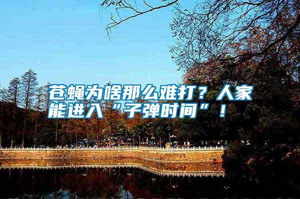 蒼蠅為啥那么難打？人家能進(jìn)入“子彈時(shí)間”！