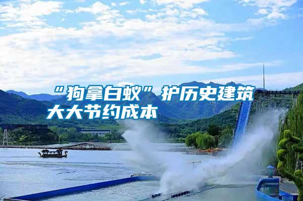 “狗拿白蟻”護歷史建筑 大大節(jié)約成本