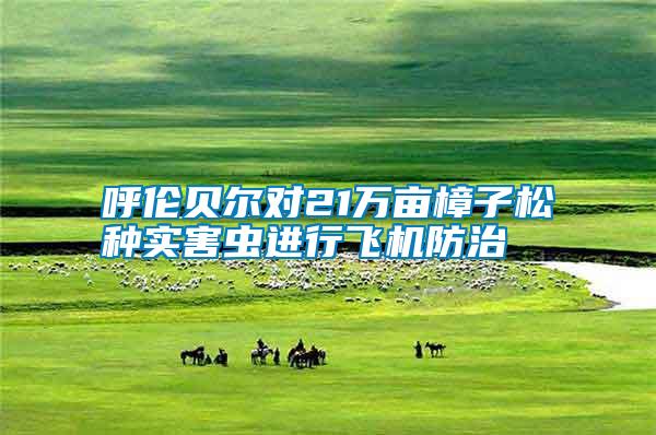 呼倫貝爾對(duì)21萬(wàn)畝樟子松種實(shí)害蟲進(jìn)行飛機(jī)防治