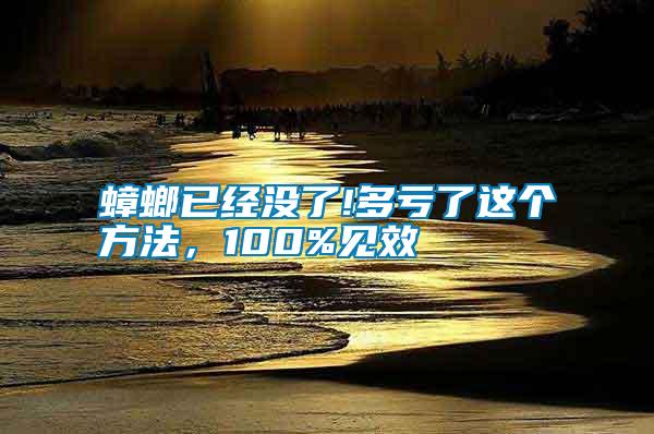 蟑螂已經(jīng)沒了!多虧了這個(gè)方法，100%見效