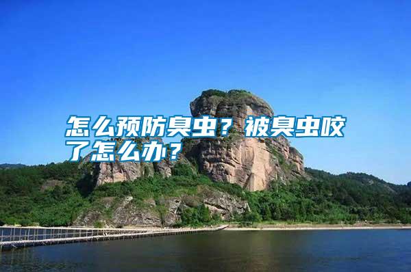 怎么預(yù)防臭蟲？被臭蟲咬了怎么辦？