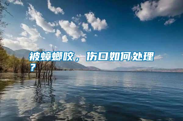 被蟑螂咬，傷口如何處理？
