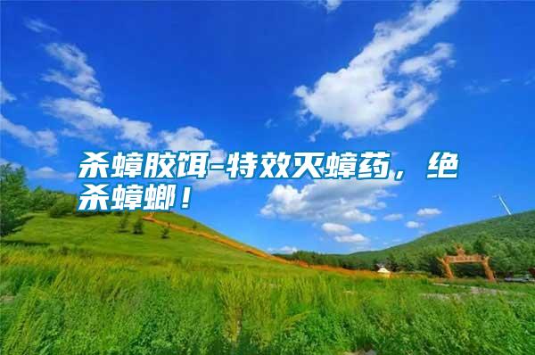殺蟑膠餌-特效滅蟑藥，絕殺蟑螂！
