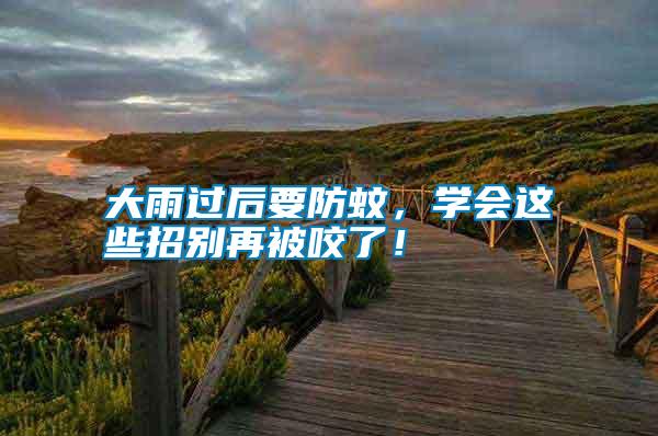 大雨過后要防蚊，學會這些招別再被咬了！
