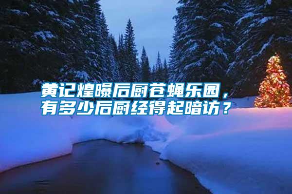 黃記煌曝后廚蒼蠅樂園， 有多少后廚經(jīng)得起暗訪？