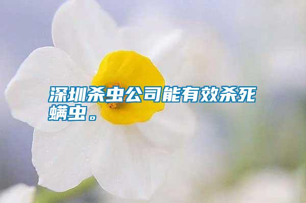 深圳殺蟲公司能有效殺死螨蟲。
