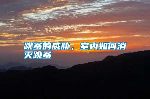 跳蚤的威脅，室內(nèi)如何消滅跳蚤