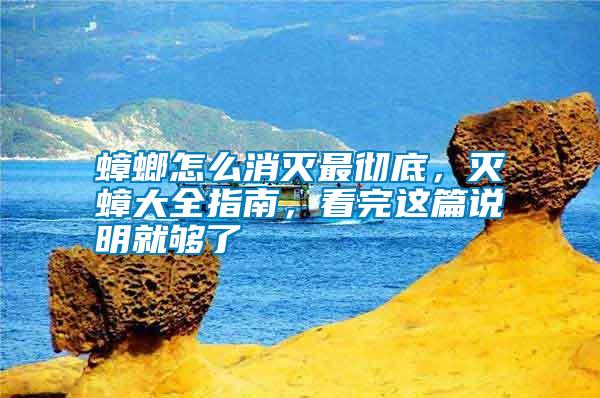 蟑螂怎么消滅最徹底，滅蟑大全指南，看完這篇說明就夠了