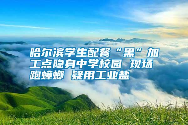 哈爾濱學生配餐“黑”加工點隱身中學校園 現(xiàn)場跑蟑螂 疑用工業(yè)鹽