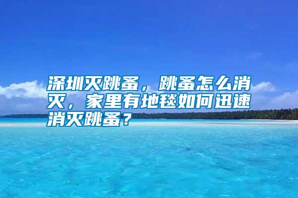 深圳滅跳蚤，跳蚤怎么消滅，家里有地毯如何迅速消滅跳蚤？