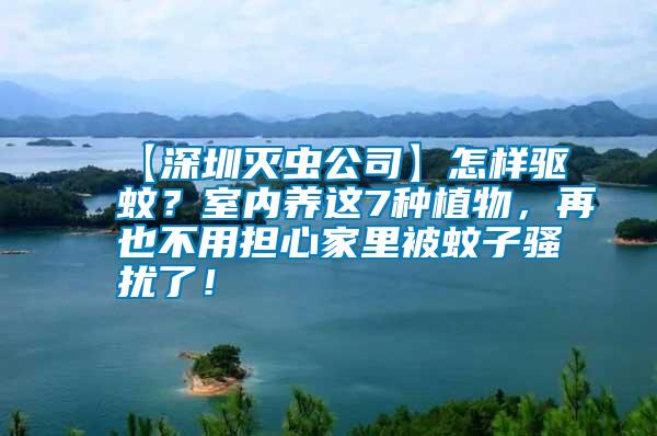 【深圳滅蟲公司】怎樣驅(qū)蚊？室內(nèi)養(yǎng)這7種植物，再也不用擔(dān)心家里被蚊子騷擾了！
