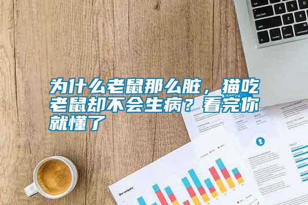 為什么老鼠那么臟，貓吃老鼠卻不會(huì)生病？看完你就懂了