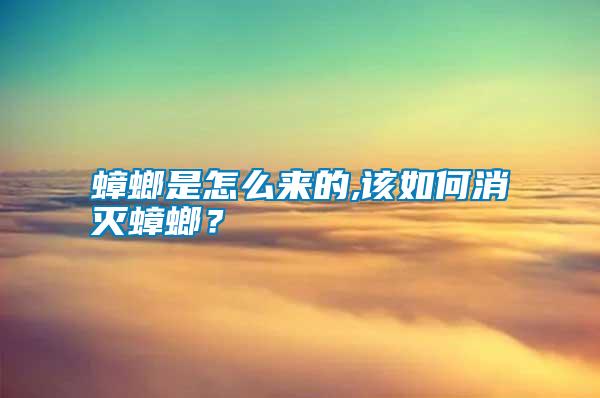 蟑螂是怎么來(lái)的,該如何消滅蟑螂？
