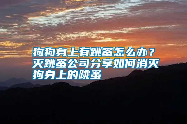 狗狗身上有跳蚤怎么辦？滅跳蚤公司分享如何消滅狗身上的跳蚤