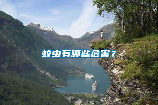 蚊蟲有哪些危害？