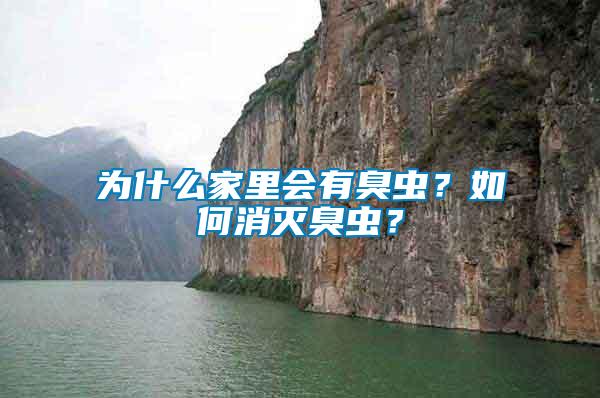 為什么家里會有臭蟲？如何消滅臭蟲？