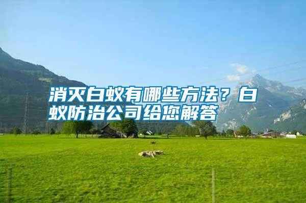 消滅白蟻有哪些方法？白蟻防治公司給您解答