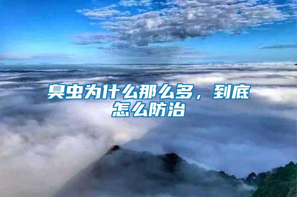 臭蟲為什么那么多，到底怎么防治