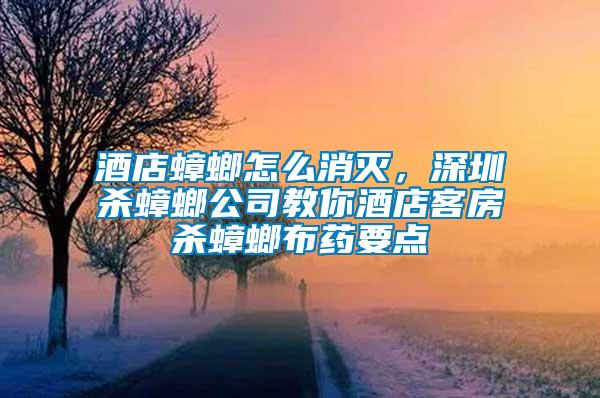 酒店蟑螂怎么消滅，深圳殺蟑螂公司教你酒店客房殺蟑螂布藥要點(diǎn)