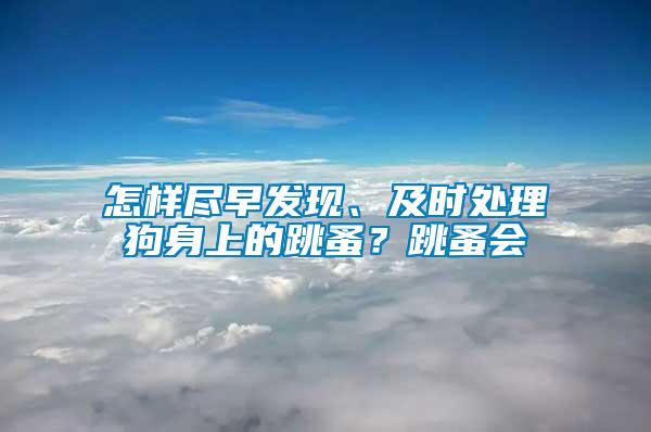 怎樣盡早發(fā)現(xiàn)、及時處理狗身上的跳蚤？跳蚤會