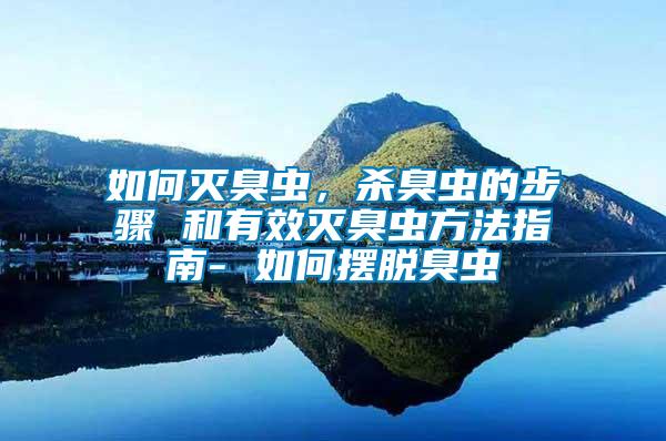 如何滅臭蟲，殺臭蟲的步驟 和有效滅臭蟲方法指南- 如何擺脫臭蟲