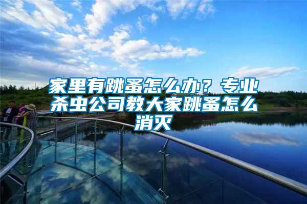 家里有跳蚤怎么辦？專業(yè)殺蟲公司教大家跳蚤怎么消滅