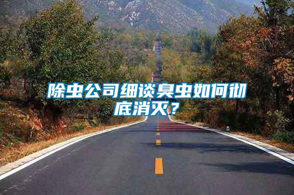 除蟲公司細談臭蟲如何徹底消滅？