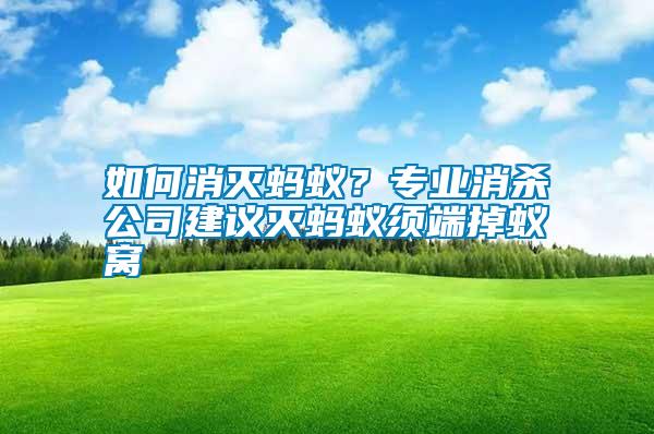 如何消滅螞蟻？專業(yè)消殺公司建議滅螞蟻?lái)毝说粝伕C