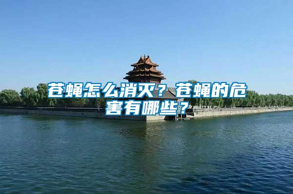 蒼蠅怎么消滅？蒼蠅的危害有哪些？