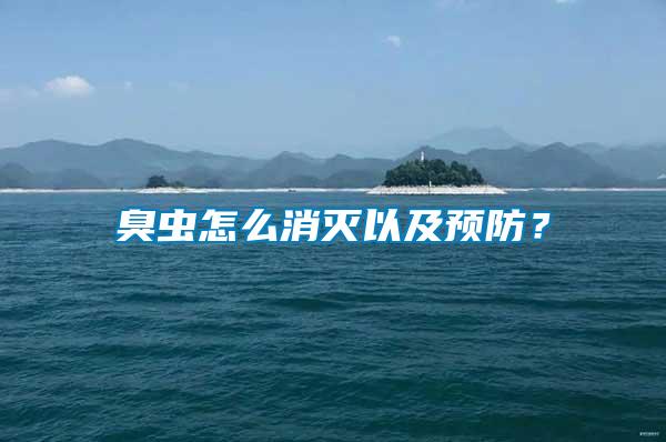 臭蟲怎么消滅以及預(yù)防？