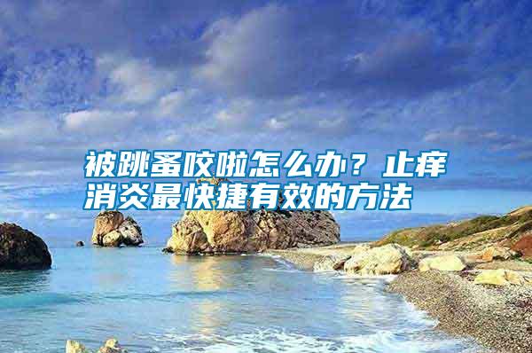 被跳蚤咬啦怎么辦？止癢消炎最快捷有效的方法