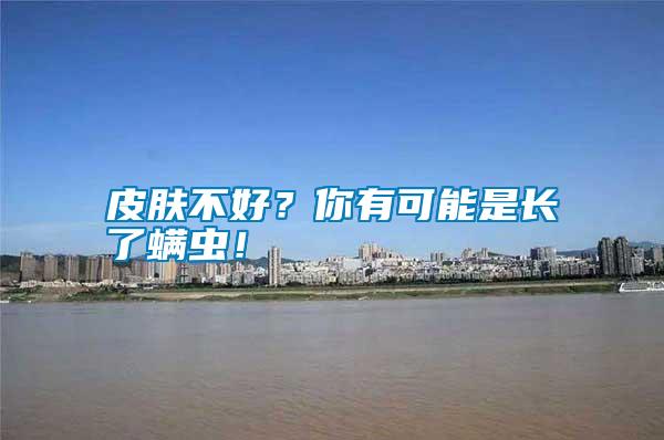 皮膚不好？你有可能是長了螨蟲！