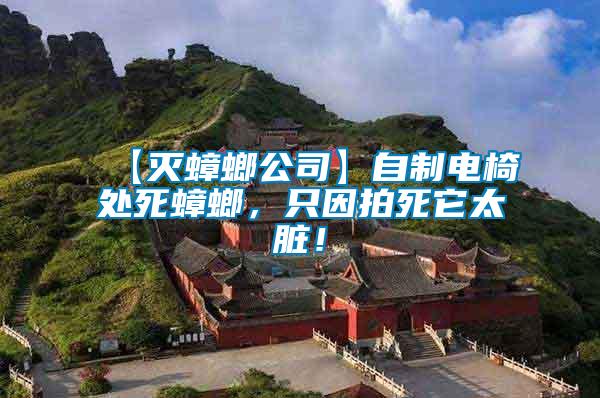 【滅蟑螂公司】自制電椅處死蟑螂，只因拍死它太臟！