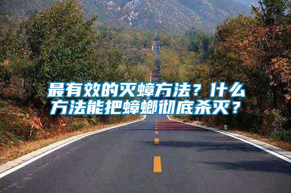 最有效的滅蟑方法？什么方法能把蟑螂徹底殺滅？