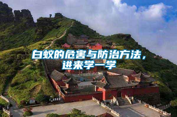 白蟻的危害與防治方法，進(jìn)來(lái)學(xué)一學(xué)