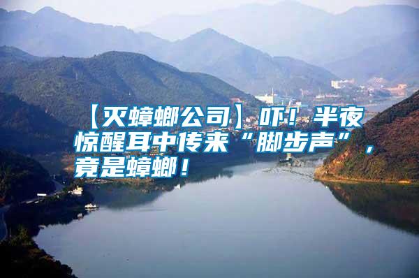 【滅蟑螂公司】嚇！半夜驚醒耳中傳來“腳步聲”，竟是蟑螂！