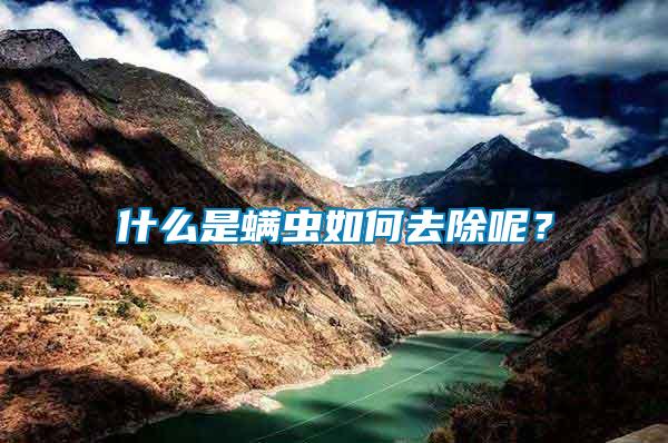 什么是螨蟲如何去除呢？