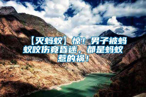 【滅螞蟻】驚！男子被螞蟻咬傷竟昏迷，都是螞蟻惹的禍！