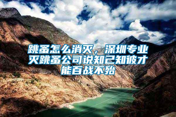 跳蚤怎么消滅，深圳專業(yè)滅跳蚤公司說知己知彼才能百戰(zhàn)不殆