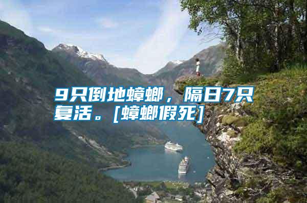 9只倒地蟑螂，隔日7只復活。[蟑螂假死]