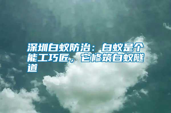 深圳白蟻防治：白蟻是個(gè)能工巧匠，它修筑白蟻隧道