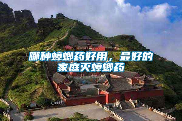 哪種蟑螂藥好用，最好的家庭滅蟑螂藥