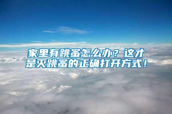 家里有跳蚤怎么辦？這才是滅跳蚤的正確打開(kāi)方式！