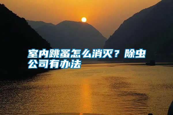 室內(nèi)跳蚤怎么消滅？除蟲公司有辦法