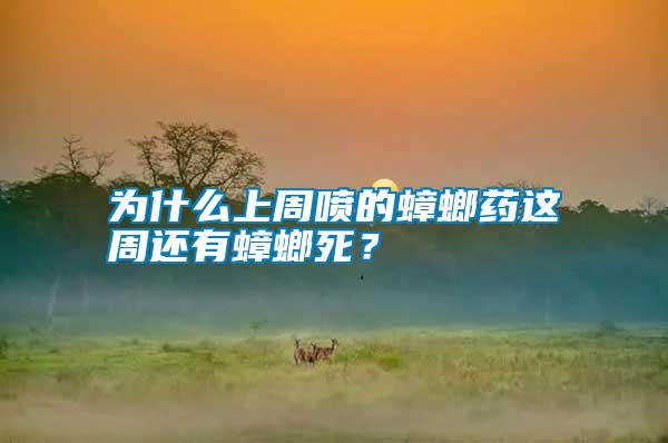 為什么上周噴的蟑螂藥這周還有蟑螂死？