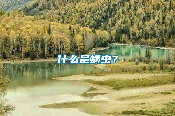 什么是螨蟲(chóng)？