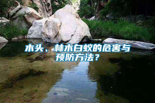木頭、林木白蟻的危害與預(yù)防方法？
