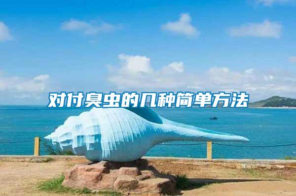 對(duì)付臭蟲(chóng)的幾種簡(jiǎn)單方法