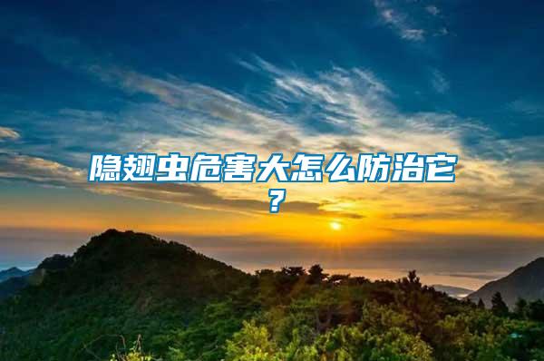 隱翅蟲危害大怎么防治它？